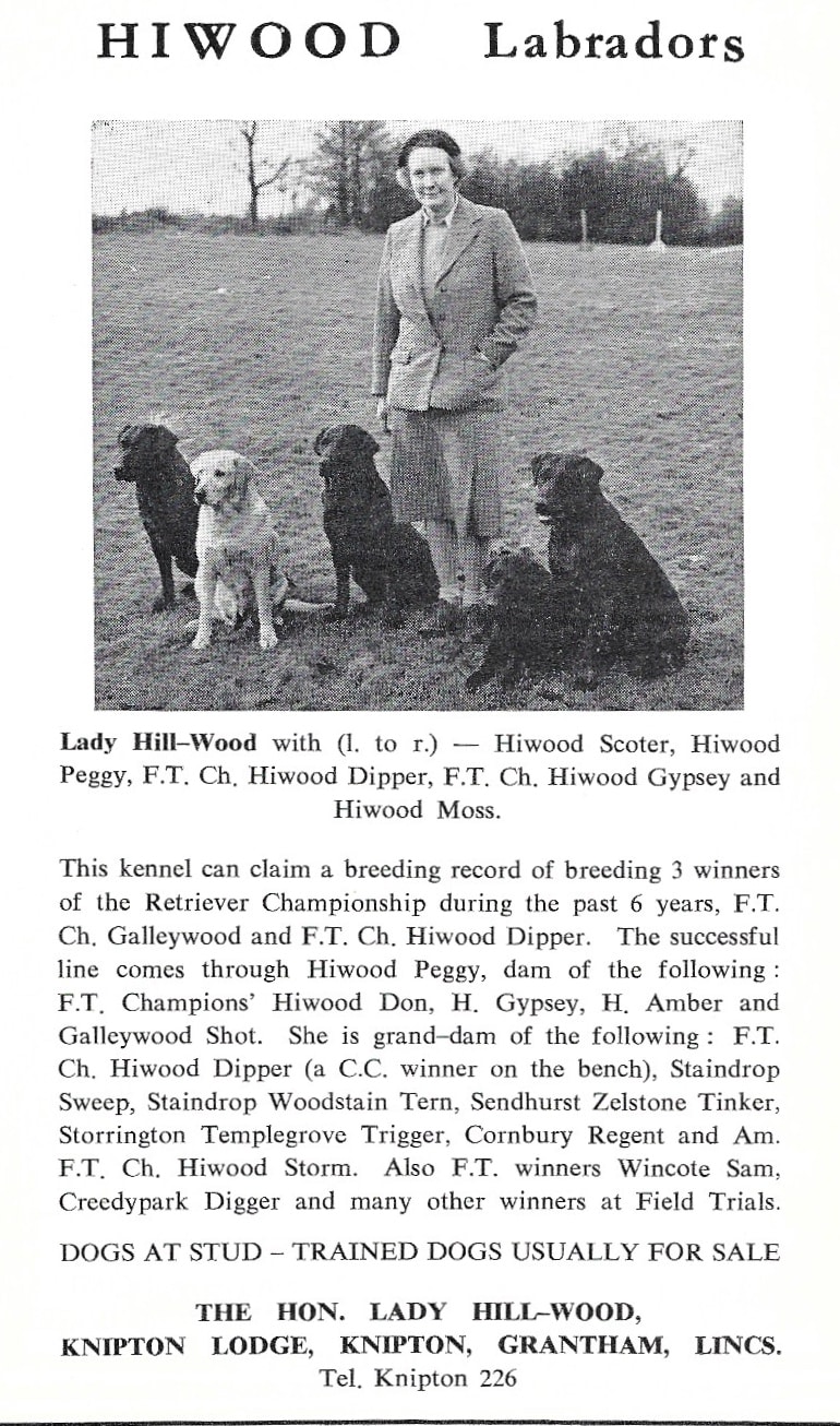 Hiwood Labradors