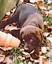 Dieses Bild hat ein leeres Alt-Attribut. Der Dateiname ist Humphrey-1987-1-1.webp