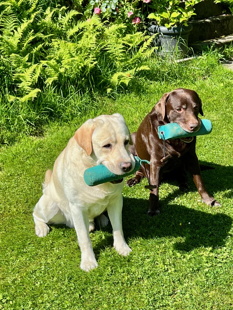 Dieses Bild hat ein leeres Alt-Attribut. Der Dateiname ist TV-Juni2022-1-768x1024.webp