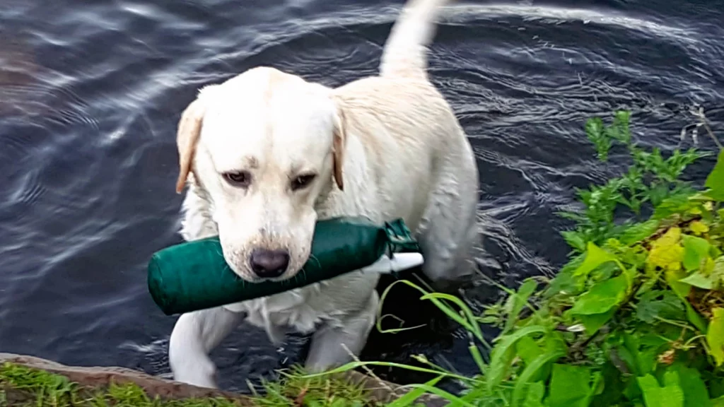 Dieses Bild hat ein leeres Alt-Attribut. Der Dateiname ist Tony2-1024x576.webp